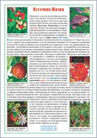 �. ������� ��������� �����