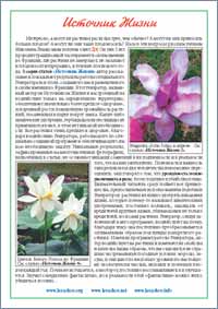 �. ������� ��������� �����