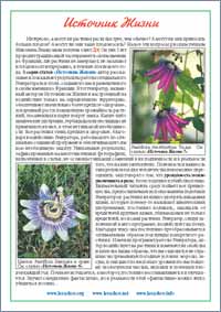 �. �������� ��������� �����